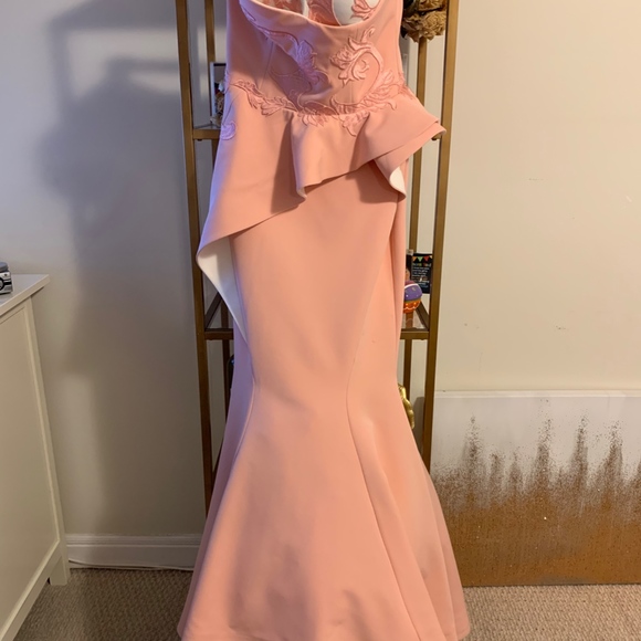 Fouad Sarkis Couture Gown- Blush - Picture 6 of 7